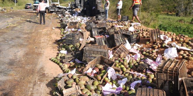 Caminhão carregado mangas tomba na BR 116 e bloqueia pista em ambos