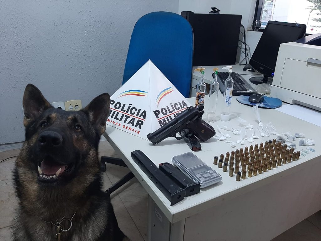 apreensão arma e drogas