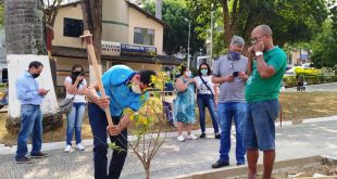 Festa anual árvore Manhuaçu