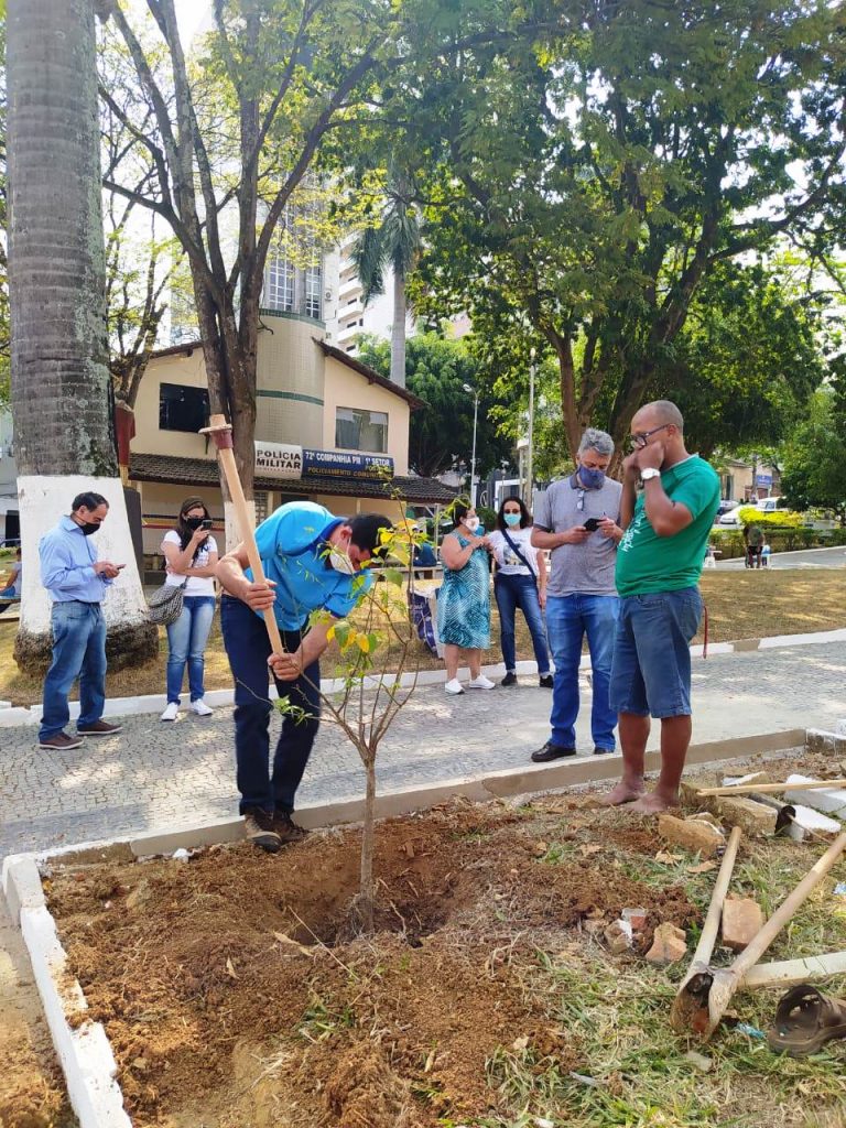 Festa anual árvore Manhuaçu