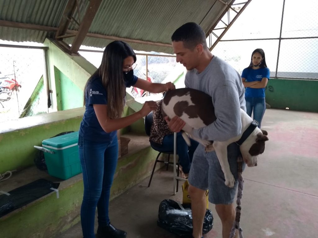 vacinaçao caes e gatos