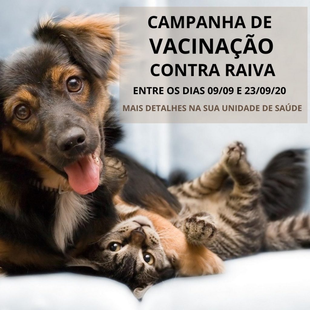 vacinaçao raiva animal