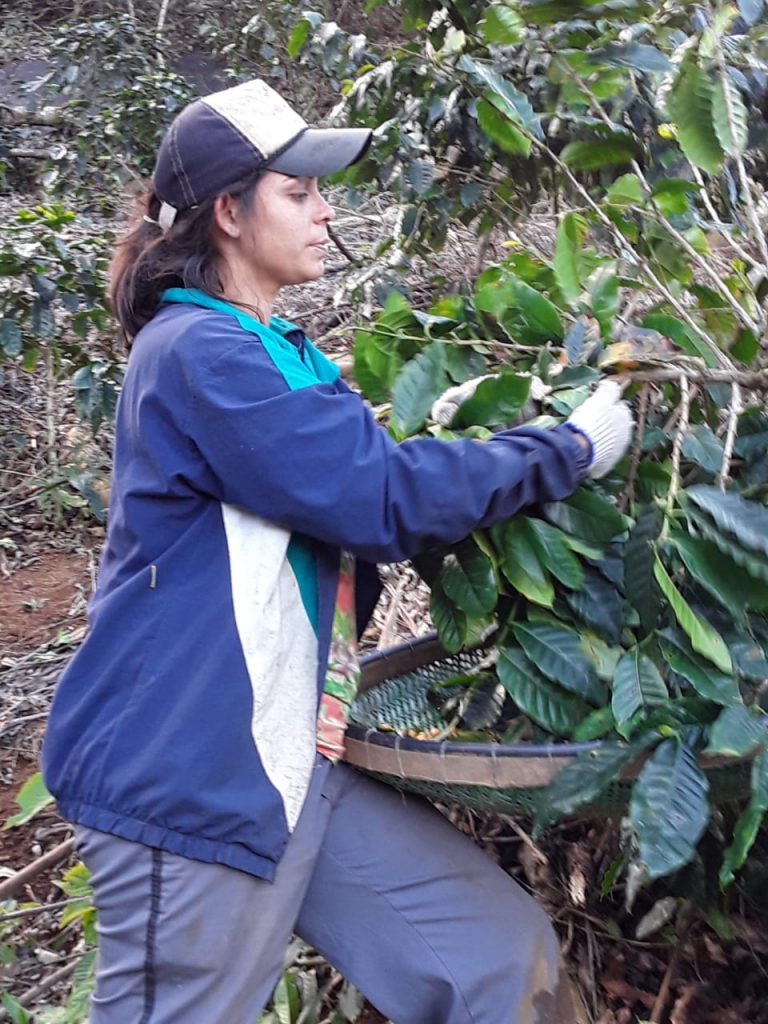 Ana Lúcia cafeicultora