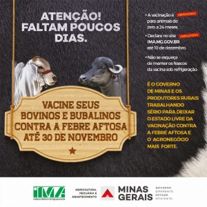 vacinação contra aftosa