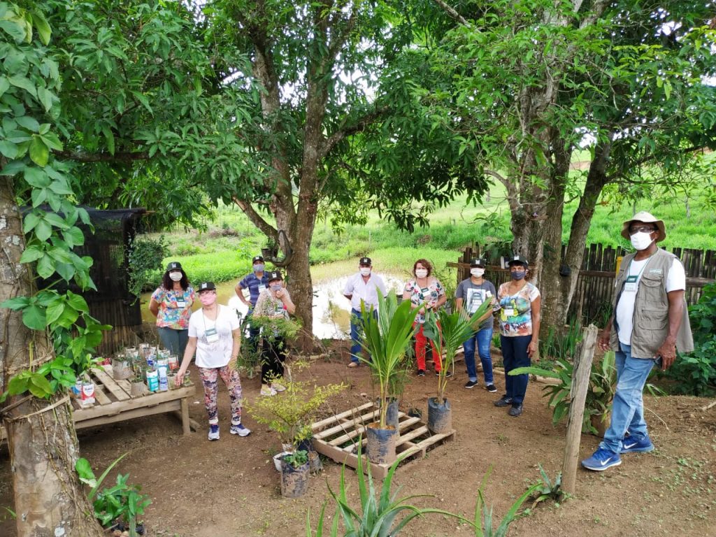 curso plantas ornamentais São Francisco Gloria