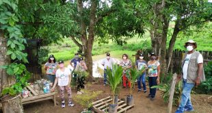 curso plantas ornamentais São Francisco Gloria