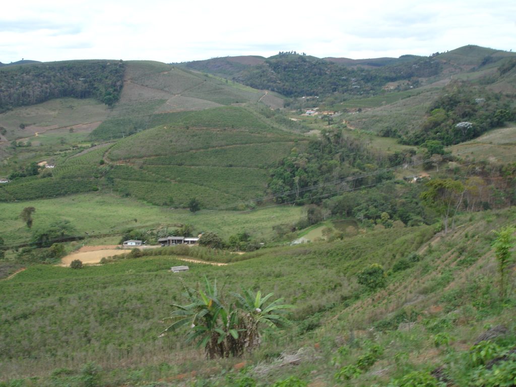 lavoura cafe montanha