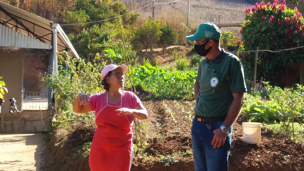 Manhuaçu agricultora horta