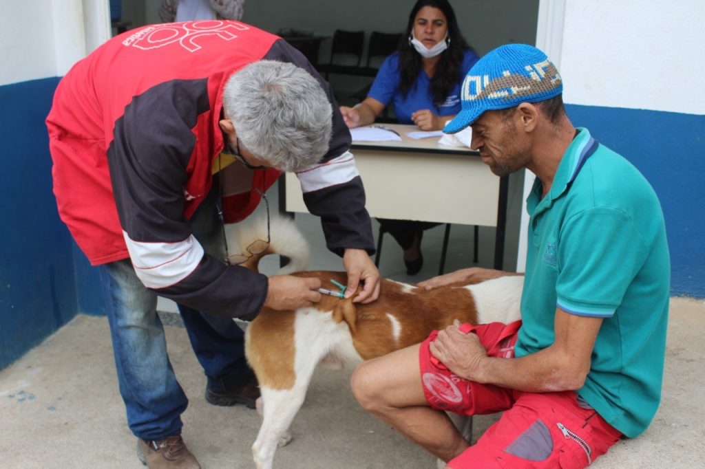 vacina cães e gatos