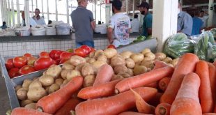 Feira Livre