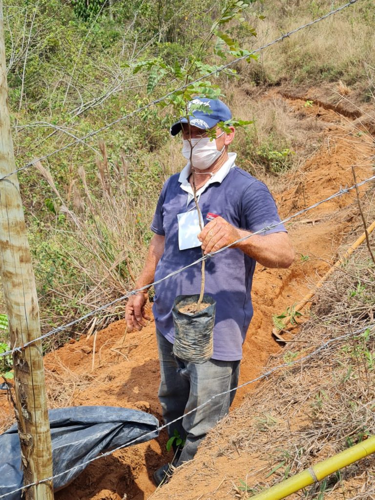 Proteção de nascentes em Carangola