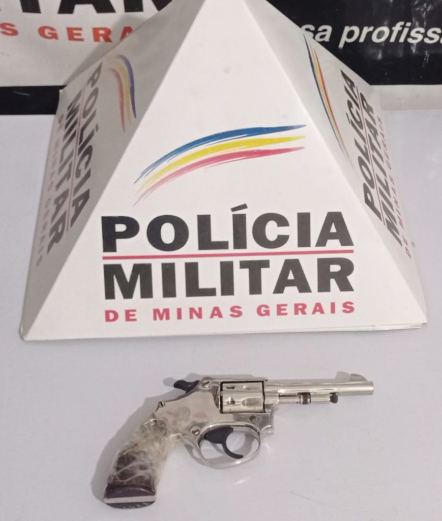 revolver cal 22 prata apreensao Lajinha