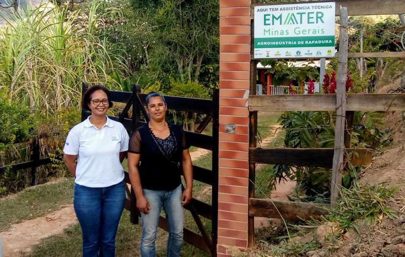 Agência Minas Gerais  Cresce a produção familiar de café Conilon