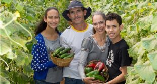 agricultura familiar